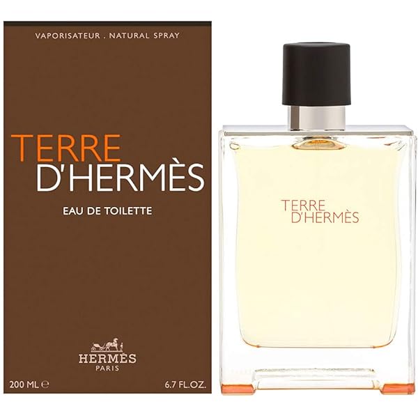 Hermès Terre d'Hermès Eau de Toilette Spray 30ml (Tester Box)