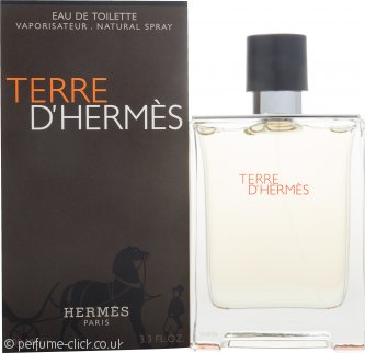 Hermes Terre d'Hermes Eau de toilette 100ml (Tester Box)